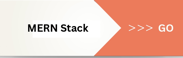 MERN Stack Web Developer